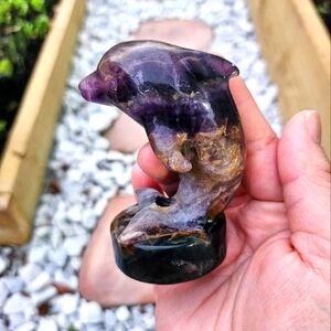 Dolphin fluorite